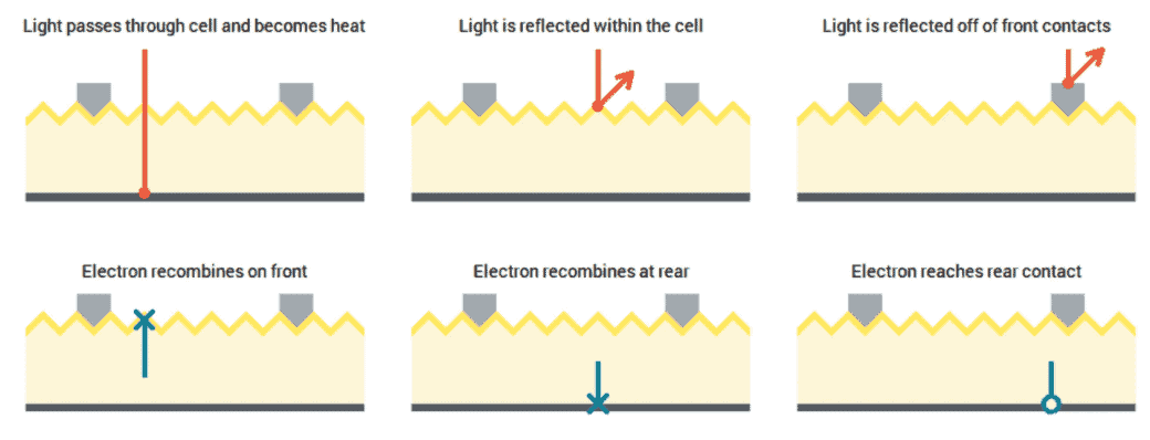 Perc Solar Panels 