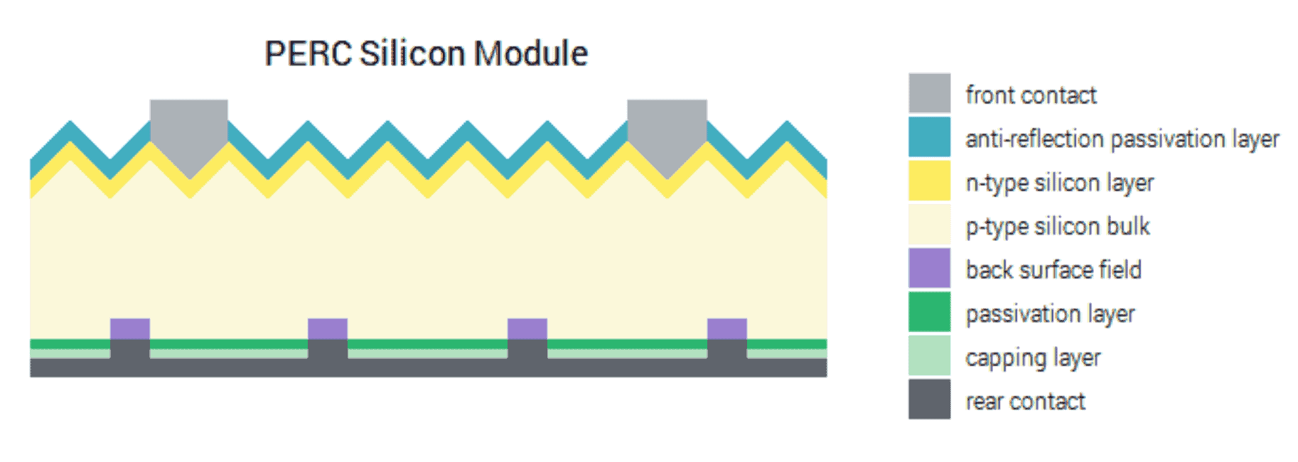 PERC-silicon-module