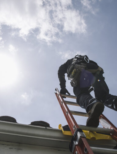 Why New Day Solar Made the Switch: A Platform That Pays for Itself